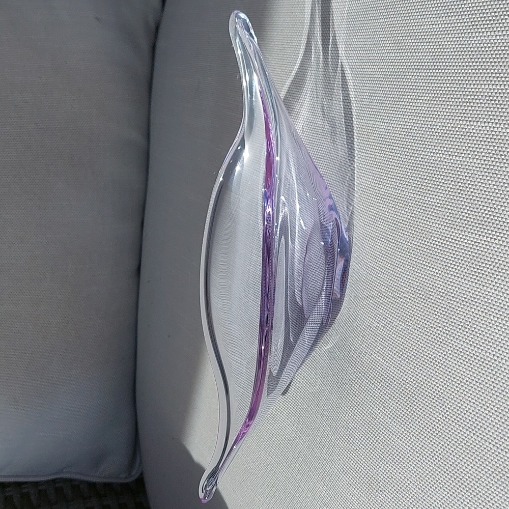 Neodymium glass dish